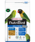 Preview: NutriBird Gold Patee Parrocchetto e piccoli pappagalli (1 kg)