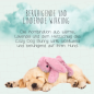 Preview: Cozy Dog Bunny Blue - Plüschhase mit Herzschlag