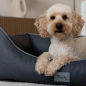 Preview: Hundebett TP "Runa" aus Kunstleder 80 x 60 cm, grau