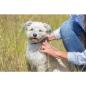 Preview: Ungezieferhalsband für Hunde 60 cm