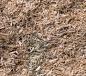 Preview: Bunny Bedding Hanf - Hanf  Einstreu (35 Liter)
