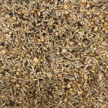 Wild Seed Special (1 kg)