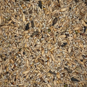 Minor Goldfinch Mix MEDITERRANEO (no niger) (15 kg)