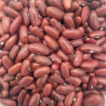 Kidneybohnen (1 kg)