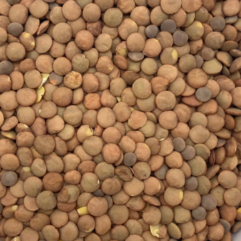 Linsen  (1 kg)