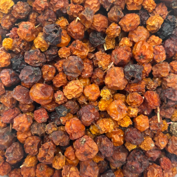 Bacche di sorbo essiccate (1 kg)