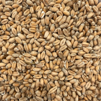 Weizen extra (5 kg)