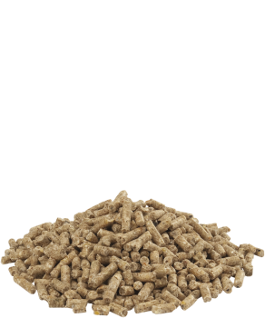 Gold 2 Pellet - Wachstumspellets ab 11. Woche (20 kg)