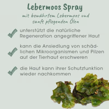 cdVet VeaVet Lebermoos Spray (100 ml)