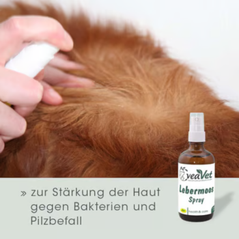 cdVet VeaVet Lebermoos Spray (100 ml)