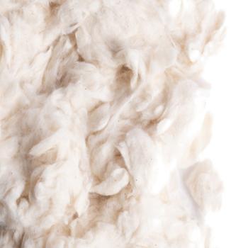 Cotton Fibers (50 g)