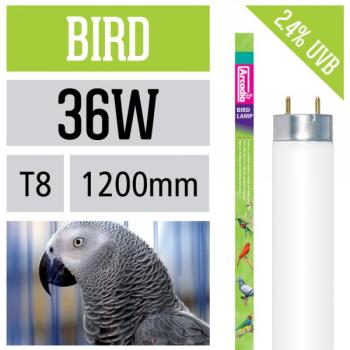 Arcadia Bird Lamp 36 Watt - 1200mm