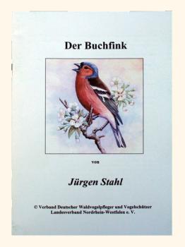 Buchfink - Sonderheft