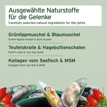 Preview: AniForte Joint Snack (50 g)