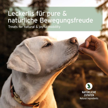 AniForte Joint Snack (50 g)