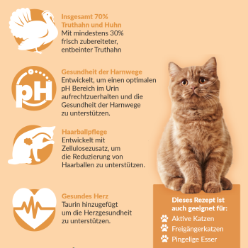 Blattners Bestes - Katze CC Adult Truthahn mit Huhn (300 g)