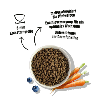 Preview: Fellows trocken - Kleiner Chaot (Welpe) (500 g)