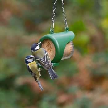 Flutter Butter Starterset mit Insekten