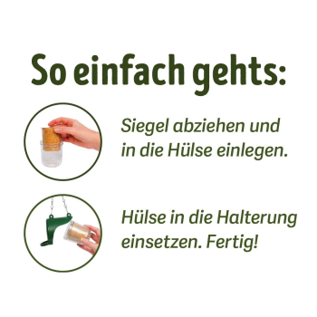 Flutter Butter Starterset mit Insekten