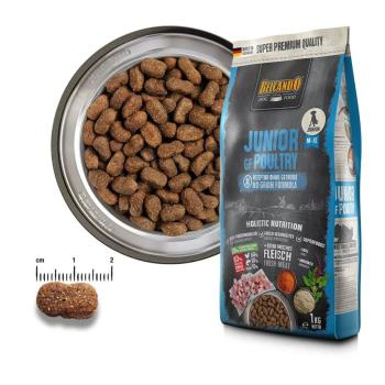 Preview: Belcando Junior grain-free Geflügel (12,5 kg)