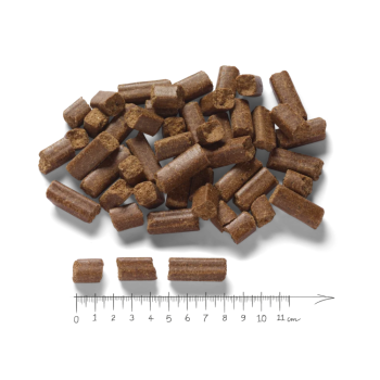 Markus Mühle - LUPO Sensitiv 24/10 (5 kg)