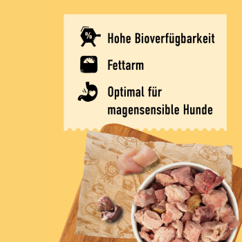 Dibo TK Pur Geflügel (2 kg)