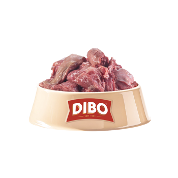 Preview: Dibo TK Pur Lamm (2 kg)