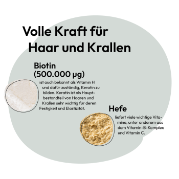 Grau Biotin forte Tabletten (100 Stück)