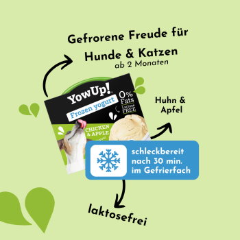 Yow Up Joghurt Eiscreme für Hunde, Hühnchen mit Apfel (110 g)