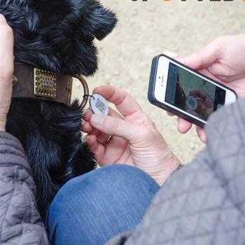 Spotted Anhänger für Hunde und Katzen