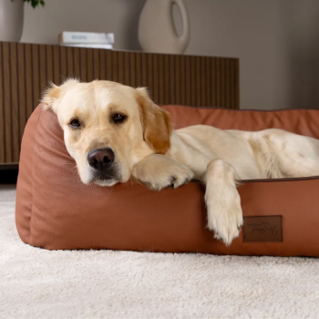 Hundebett TP "Runa" aus Kunstleder 100 x 75 cm, kupfer