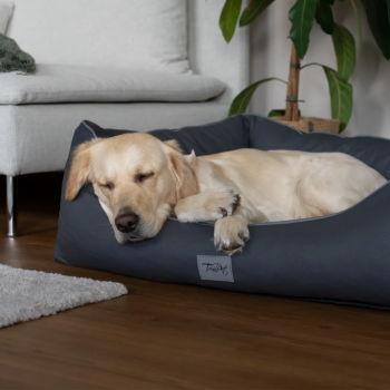 Hundebett TP "Runa" aus Kunstleder 100 x 75 cm, grau