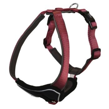 Komfort Geschirr "Classic Preno" bordeaux L:75-90; B:35mm