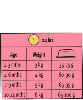 Preview: Lara Junior mit Hühnchen (1,9 kg)