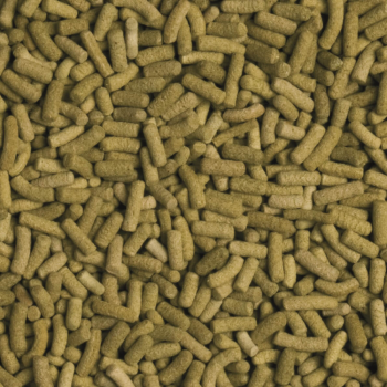 Preview: Biorept L - Sticks für Landschildkröten (250 ml)