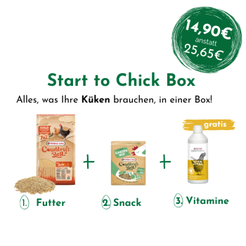 Preview: Start to Chick Box - Küken