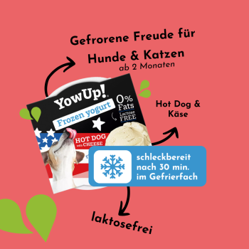 Preview: YowUp Joghurt Eiscreme für Hunde, Hot Dog mit Käse (110 g)