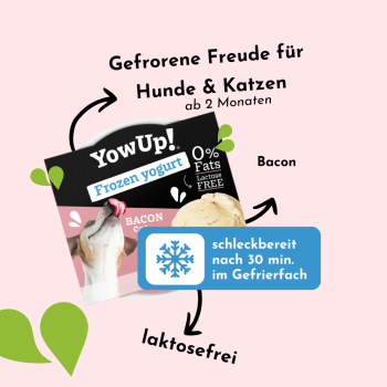 Preview: YowUp Joghurt Eiscreme für Hunde, Bacon Cake (110 g)