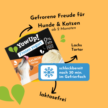 Preview: YowUp Joghurt Eiscreme für Hunde, Salmon Tartar (110 g)