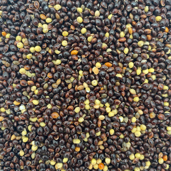 Schwarze Hirse (5 kg)