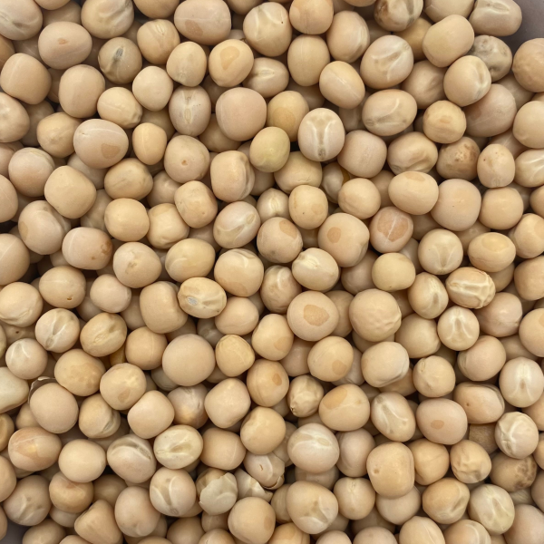 Erbsen gelb (1 kg)