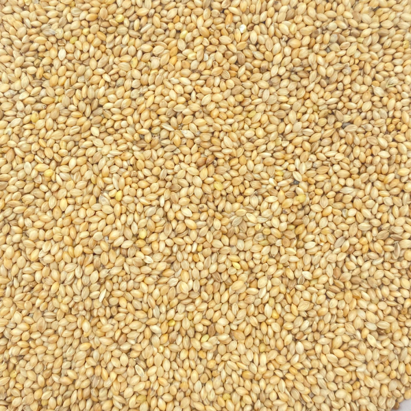 Mohair giallo (5 kg)
