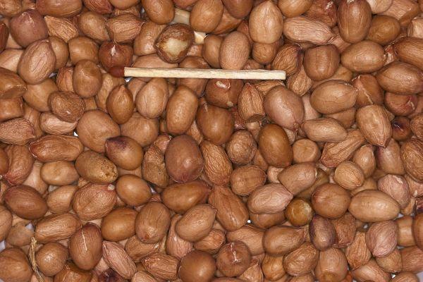 Erdnüsse geschält ganz (1 kg)