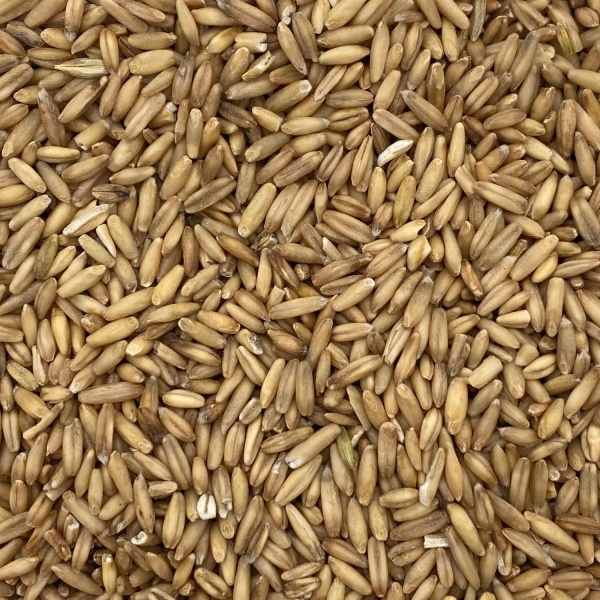 Hafer geschält (1 kg)