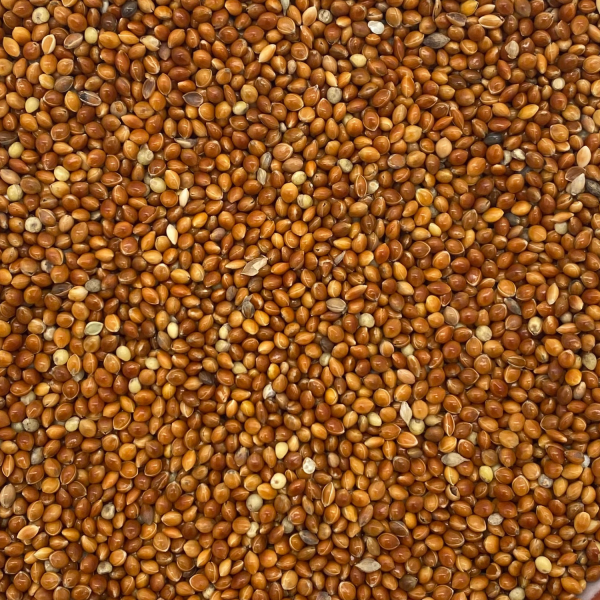 Rote Hirse (1 kg)