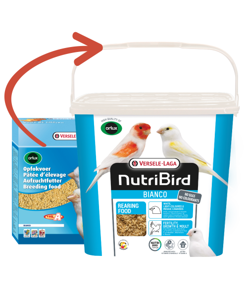 NutriBird Aufzuchtfutter Bianco (4 kg)