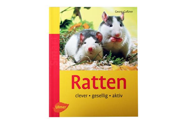 Ratten - Gaßner