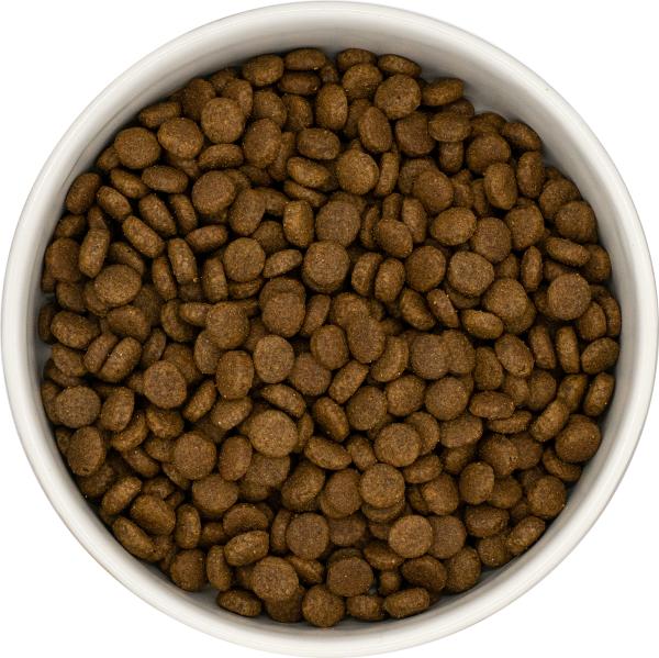 Blattners Bestes - Katze CC Adult Ente mit Sardine (steril.) (300 g)