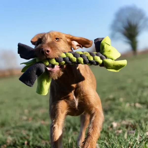 Bringsel Hundespielzeug 4,0 x 20 cm grün