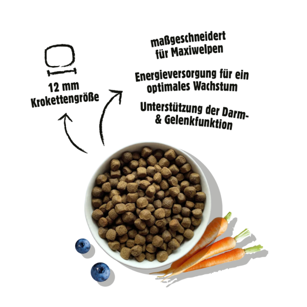 Fellows trocken - Großer Chaot (Welpe) (500 g)